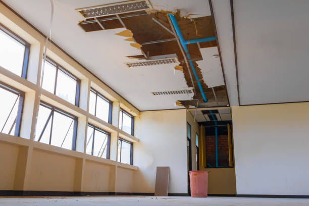 Best Flooded house restoration  in Lenoir City, TN