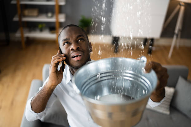 Best Commercial water damage restoration  in Lenoir City, TN