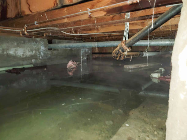 Best 24/7 water damage repair  in Lenoir City, TN