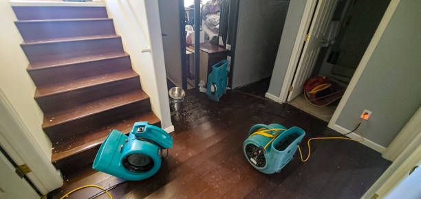 Best Water damage cleanup near me  in Lenoir City, TN