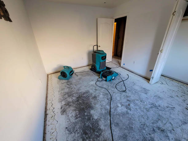 Best Water damage contractors near me  in Lenoir City, TN