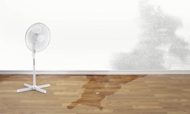 Best Residential water damage restoration  in Lenoir City, TN