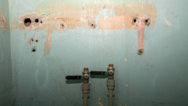 Best Ceiling water damage repair  in Lenoir City, TN