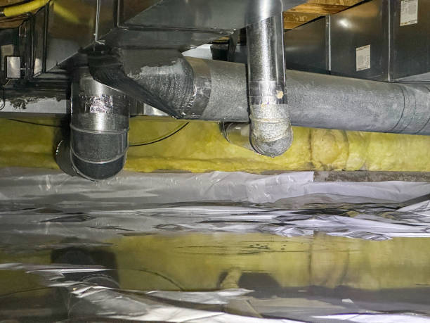 Best Flood damage cleanup  in Lenoir City, TN
