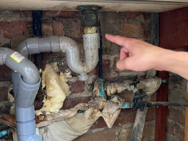 Best Water damage repair service  in Lenoir City, TN