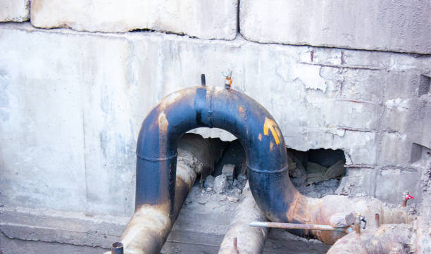 Best Local water damage restoration  in Lenoir City, TN