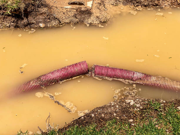 Best Emergency water damage restoration  in Lenoir City, TN