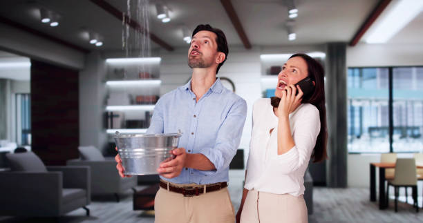 Best Water damage restoration near me  in Lenoir City, TN